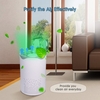 Purificateur d