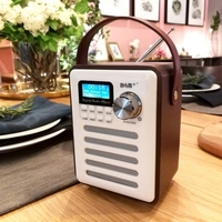 Radio numérique DAB / DAB + Haut-parleurs sans fil Bluetooth Lecteur MP3 AUX IN TF U Lecture du disque Radio FM avec poignée portable Réglage du réveil