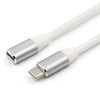 Rallonge multifonctionnelle audio / vidéo de données de charge de rallonge de type C 1M