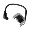Remplacement du Module de bobine d