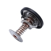 Remplacement pour Chevrolet C6 Corvette LS2 LS3 LS7 Thermostat 160 degrés