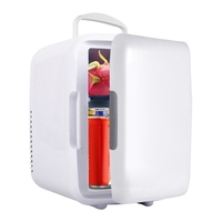 Réfrigérateur de voiture 4L Mini ménage pour masque cosmétique produits de soins de la peau double usage froid et chaud peut chauffer la conservation des aliments