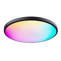 RGBCW plafonnier couleur gradation APP BT télécommande Intelligent commande vocale chambre ronde plafonnier