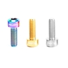 RISQUE 2PCS M5 × 14mm Boulons en titane pour vélo Thumb Shifter Vis fixes Ti Containé Hexagon Ti Vis Ti Attache MTB Vélo Parties