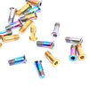 RISQUE 2PCS Titane Bicyclette Dérailleur arrière Jockey Roue Bolt pour MTB Road Bike M5 × 14.2mm Bicyclette Guide Roller Bolt Screw