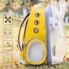 Sac de voyage pour chien avec sac à dos transparent conçu pour la randonnée en plein air