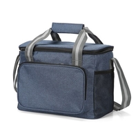 Sac isotherme 15L sac isotherme portable pour voyage randonnée plage pique-nique barbecue party