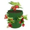 Sacs de culture aux fraises de 10 gallons avec 8 pochettes de culture