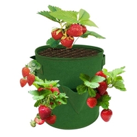 Sacs de culture aux fraises de 10 gallons avec 8 pochettes de culture