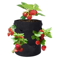 Sacs de culture aux fraises de 10 gallons avec 8 pochettes de culture