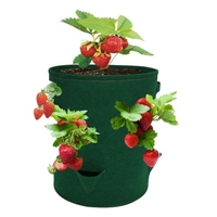 Sacs de culture aux fraises de 10 gallons avec 8 pochettes de culture
