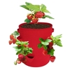 Sacs de culture aux fraises de 10 gallons avec 8 pochettes de culture