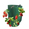 Sacs de culture aux fraises de 15 x 9 pouces avec 8 trous de culture