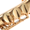 Saxophone Soprano Droit en Laiton Sib B Instrument à Vent Plat