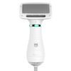 Sèche-cheveux pour animaux de compagnie Sèche-cheveux de toilettage pour animaux de compagnie 2 en 1,  brosse pour chien