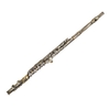 SLADE c-key 16 trous flûte ensemble trou fermé C flûte pour débutant mélomane