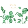 Stickers muraux bricolage Tropical Monstera en forme de thème garçons enfants chambre Stickers muraux