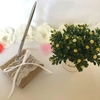 Stylo de mariage avec porte-jute vintage en dentelle titulaire parti stylo Set de mariage de fiançailles décoration Fournitures