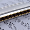 Suzuki 1072-B Folkmaster Standard 10 trous Diatonic Harmonica Key of B 20 Tone pour débutant étudiant