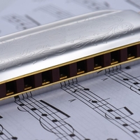 Suzuki 1072-B Folkmaster Standard 10 trous Diatonic Harmonica Key of B 20 Tone pour débutant étudiant