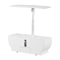 Système de culture hydroponique intelligent Kit de jardin d