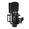 TAKSTAR PC-K750 Microphone d