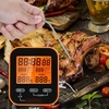 Thermomètre numérique pour aliments et minuterie Thermomètre à sonde de température de la viande sans fil