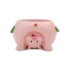 Tomfeel Animal Succulent Pots de fleurs dessin animé résine Pots de fleurs voir le monde à l