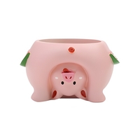 Tomfeel Animal Succulent Pots de fleurs dessin animé résine Pots de fleurs voir le monde à l