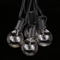 Tomshine 175W 25FT E12 G40 lampe à incandescence avec 2 ampoules de rechange