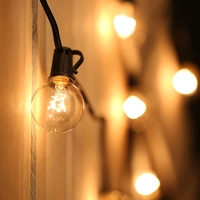 Tomshine 175W 25FT E12 G40 lampe à incandescence avec 2 ampoules de rechange