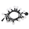 Tomshine 2 Pack AC 220-240V 6.5m / 21.33ft E12 Base G40 LED Guirlande Lumineuse 12 + 1 Ampoules Globe IP44 Résistant à l
