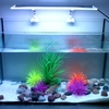 Tomshine Aquarium Light SMD5050 Ultra Thin RVB LED Multi Color Change avec IR 24 touches Télécommande Flash Strobe Fade Effet visuel lisse pour Tank