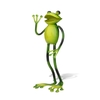 TOOARTS voeux grenouille d