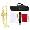 Trompette Bb B Flat en Laiton Exquise avec Gants Embouchure