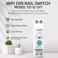 Tuya Wifi Disjoncteur Intelligent Télécommandes Sans Fil Contrôle Din Rail Commutateur Compatible avec Alexa Google Home 40A