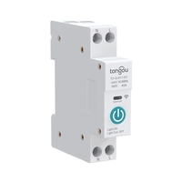 Tuya Wifi Disjoncteur Intelligent Télécommandes Sans Fil Contrôle Din Rail Commutateur Compatible avec Alexa Google Home 63A