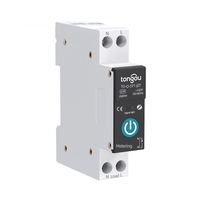 Tuya Zigbee Disjoncteur Intelligent Télécommandes Sans Fil Contrôle Din Rail Commutateur Compatible avec Alexa Google Home 40A