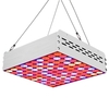 Une plante à spectre complet C85-265V 1000W 100LEDs élève la lampe de croissance de la lumière s