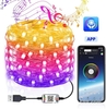 USB Bluetooth Light String Mobile Phone APP Fil de cuivre Light Christmas Decoration Light String