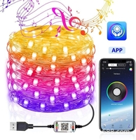 USB Bluetooth Light String Mobile Phone APP Fil de cuivre Light Christmas Decoration Light String