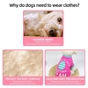 Vêtements pour animaux domestiques Chemises pour chiens T-shirts pour chiens Chemise imprimée pour animaux de compagnie Chemise Printemps Eté Vêtements pour petits chiens Chats