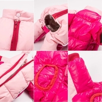 Vêtements pour chiens de compagnie Hiver Veste Chaude Épais Manteau Chiot Petits Chiens Animaux Vêtements
