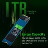 WD Green SN350 1 To SSD NVMe Solid State Drive M.2 2280 Interface Grande capacité Transmission haute vitesse SSD compact mince