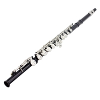 Western Concert Flûte Cupronickel Plaqué Argent 16 Trous C Clef Instrument à Vent