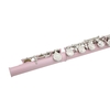 Western Concert Flûte Cupronickel Plaqué Argent 16 Trous C Clef Instrument à Vent