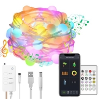WI-FI BT USB Smart Globe Ball String Lights 16 millions de guirlandes lumineuses de synchronisation de musique de couleur