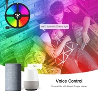 Wi-Fi RGB LED Strip Lights étanche 32.8ft 300 LED avec télécommande IR et contrôleur Wi-Fi Smart APP & commande vocale et minuterie changeant de couleur 5050 lumières LED pour la fête au plafond de la pièce (DC 12V / 6A)