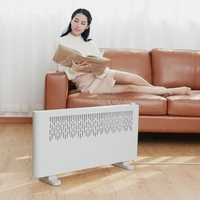 Xiaomi Youpin Réchauffeur D