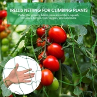 YEGBONG Filet en treillis pour plantes grimpantes 16 x 6 pieds Filet en treillis de jardin pour concombre vigne Fruits Légumes Tomate avec pinces à attache